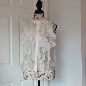 Zara Pink and Cream Sheer Blouse